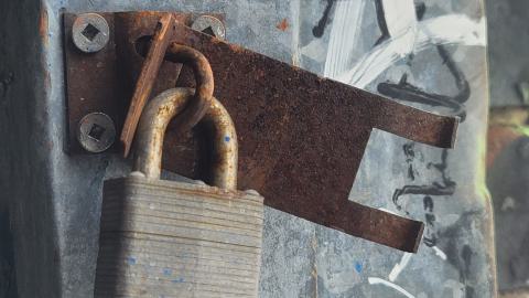 The Masked Man - 20250112_150928.jpg