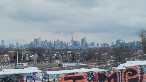 The Masked Man - 20250112_150257.jpg