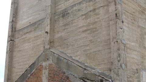 Nov. 30, 2024 - IMG_2697.JPG