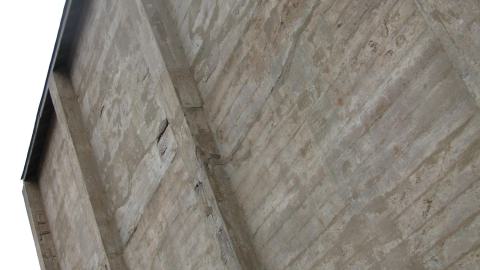 Nov. 30, 2024 - IMG_2698.JPG