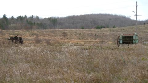 Nov. 30, 2024 - IMG_2704.JPG