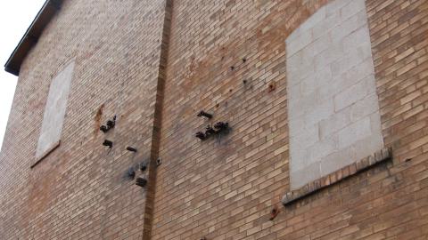 Nov. 30, 2024 - IMG_2710.JPG