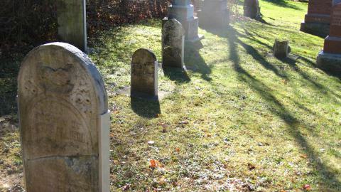 Nov. 9, 2024 - IMG_2526.JPG