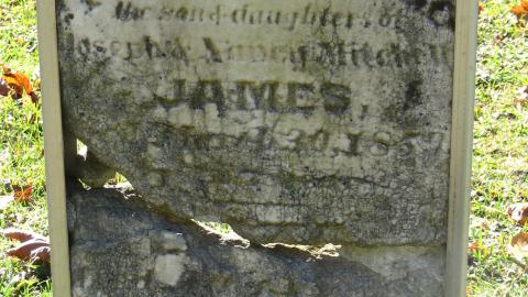 Nov. 9, 2024 - IMG_2528.JPG