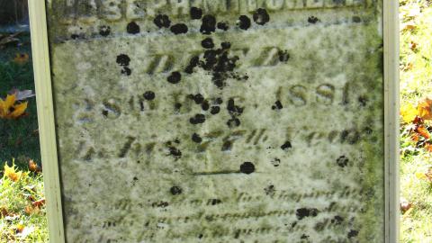 Photo from Nov. 9, 2024