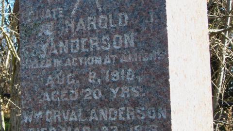 Nov. 9, 2024 - IMG_2531.JPG