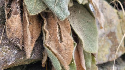 Photo from Is There Water Under This?