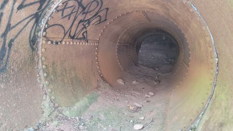 Is There Water Under This? - 20250123_140043.jpg