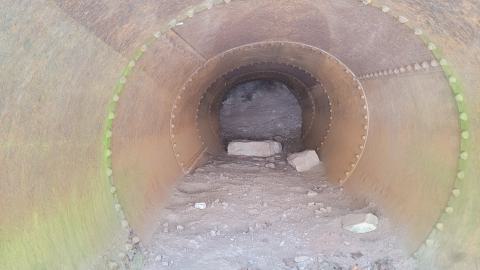 Is There Water Under This? - 20250123_140022.jpg