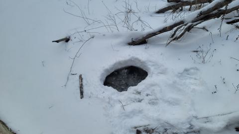 Photo from Is There Water Under This?