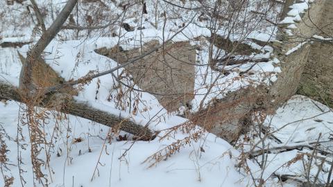 Is There Water Under This? - 20250123_134949.jpg