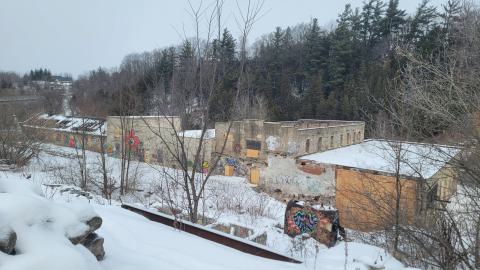 Jan 2025 - 20250123_123120.jpg