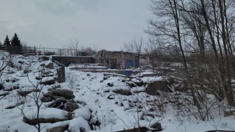 Jan 2025 - 20250123_122504.jpg