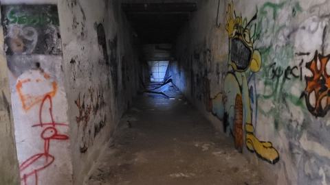 Jan 2025 - 20250123_115624.jpg