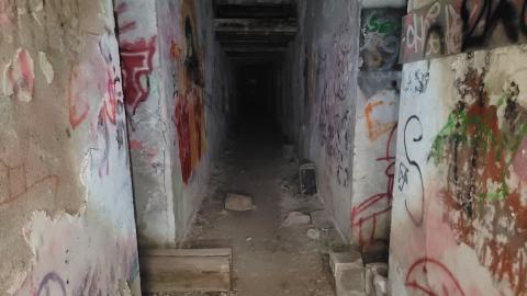 Jan 2025 - 20250123_115615.jpg