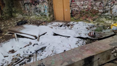 Jan 2025 - 20250123_115310.jpg