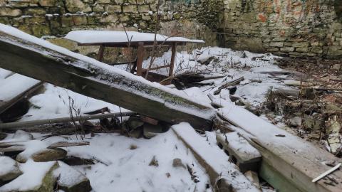 Jan 2025 - 20250123_115308.jpg