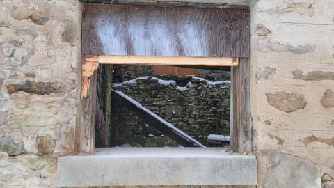 Jan 2025 - 20250123_114744.jpg