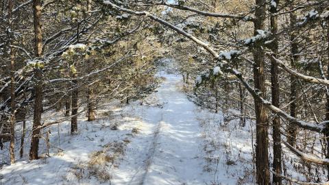 Photo from Belleville CN North industrial line (not operational)