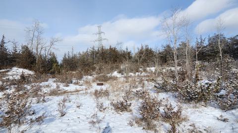 Belleville CN North industrial line (not operational) - 20250111_131922.jpg