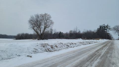 I Knew It! - 20250123_131411.jpg