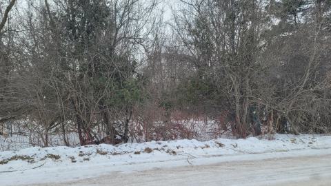 I Knew It! - 20250123_131116.jpg