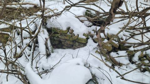 I Knew It! - 20250123_130655.jpg