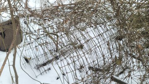 Sticks And Stones photo 4