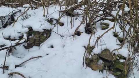 I Knew It! - 20250123_130611.jpg