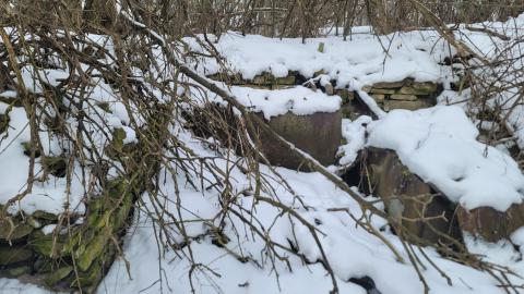 I Knew It! - 20250123_130610.jpg