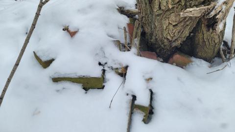 I Knew It! - 20250123_130412.jpg