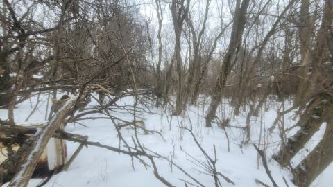 Sticks And Stones photo 5