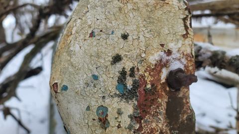 I Knew It! - 20250123_130226.jpg