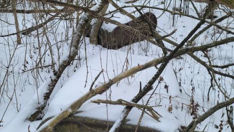 I Knew It! - 20250123_130203.jpg