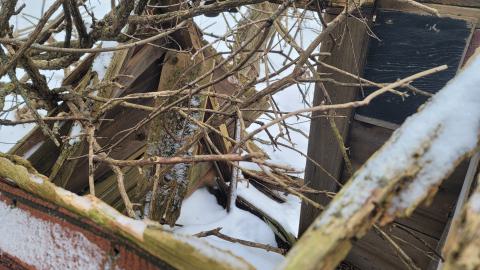 I Knew It! - 20250123_130025.jpg