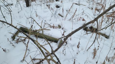 I Knew It! - 20250123_125928.jpg