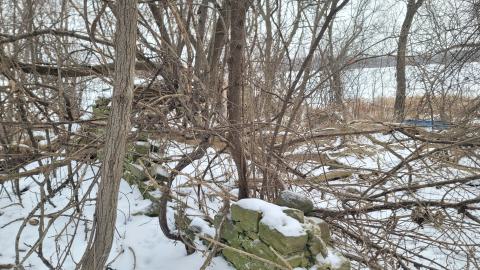 I Knew It! - 20250123_125654.jpg