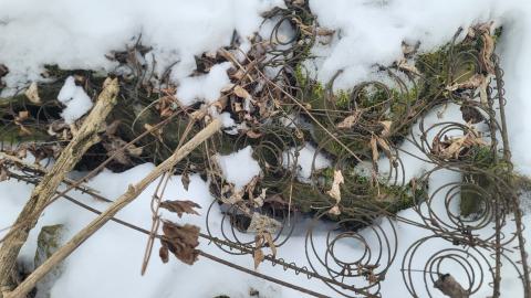 I Knew It! - 20250123_125645.jpg