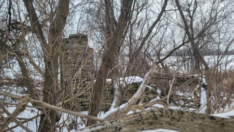 I Knew It! - 20250123_125611.jpg