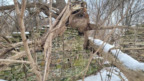 I Knew It! - 20250123_125608.jpg