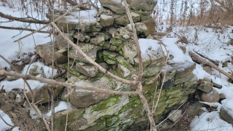 I Knew It! - 20250123_125451.jpg