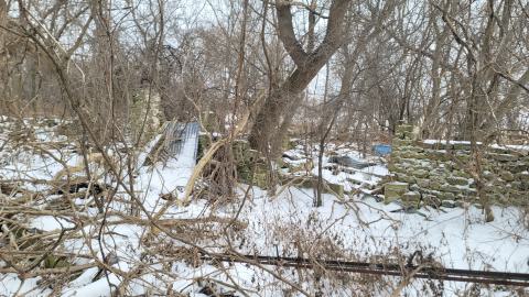 I Knew It! - 20250123_125423.jpg