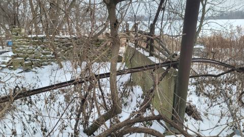 I Knew It! - 20250123_125421.jpg