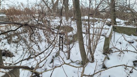 I Knew It! - 20250123_125414.jpg