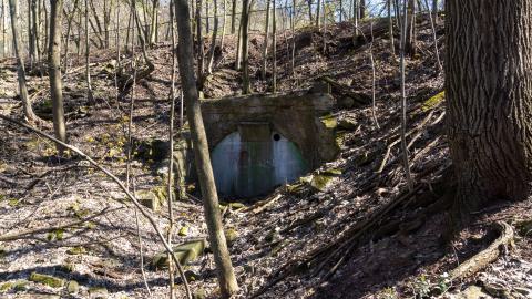 This Is a Call - DSC00587.JPG