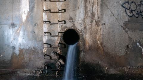 This Is a Call - DSC00901.JPG