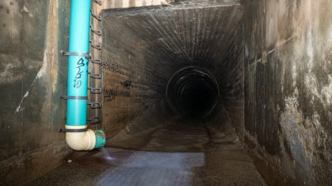 This Is a Call - DSC00908.JPG