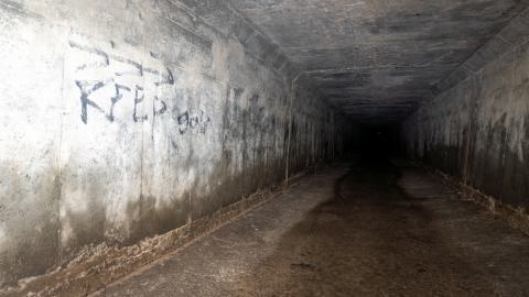 This Is a Call - DSC00910.JPG