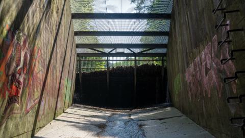 This Is a Call - DSC00912.JPG