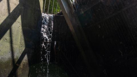 This Is a Call - DSC00914.JPG